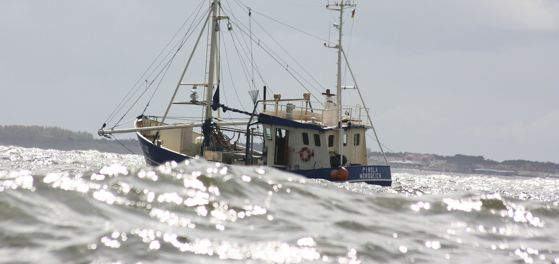 Ein blauer Fischkutter mit der Aufschrift "Piroli Norddeich" auf See.