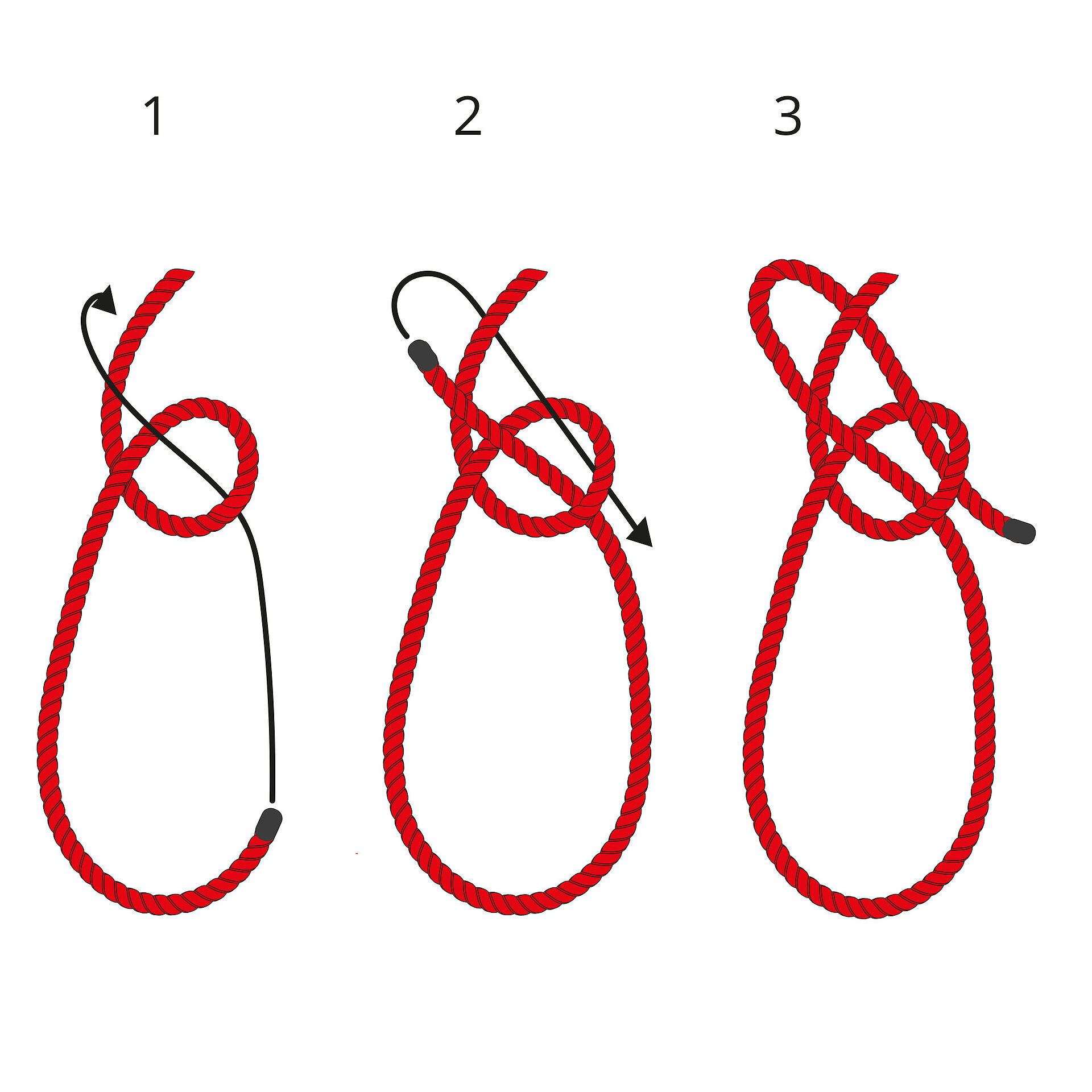 Eine Grafik zeigt die Schritte zum Knoten eines Palstek.