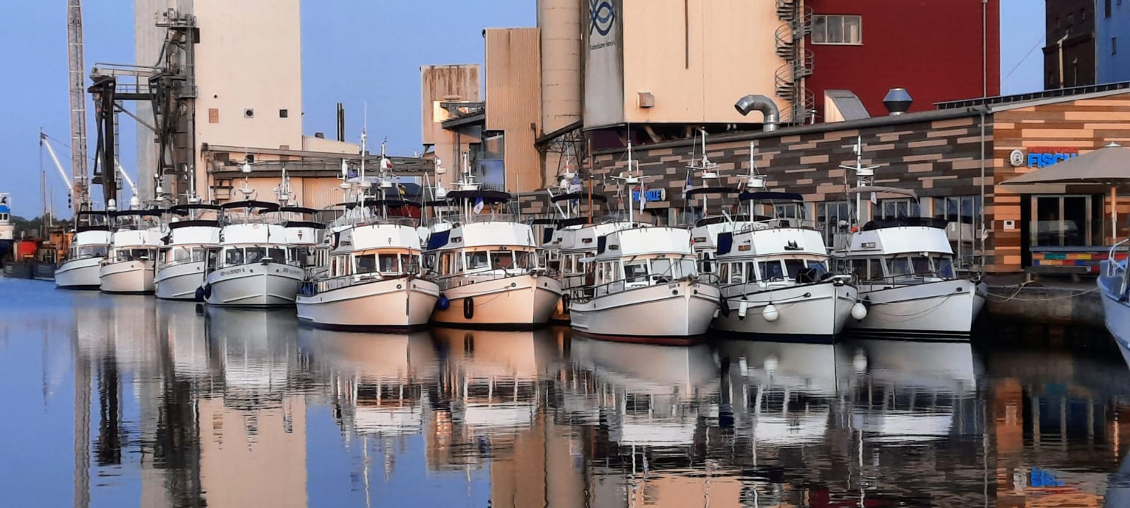 24 Grand-Banks-Trawler, die den weißen nordamerikanischen Fischereibooten nachempfundenen sind, liegen im Päckchen an der Pier im Kommunalhafen von Heiligenhafen.